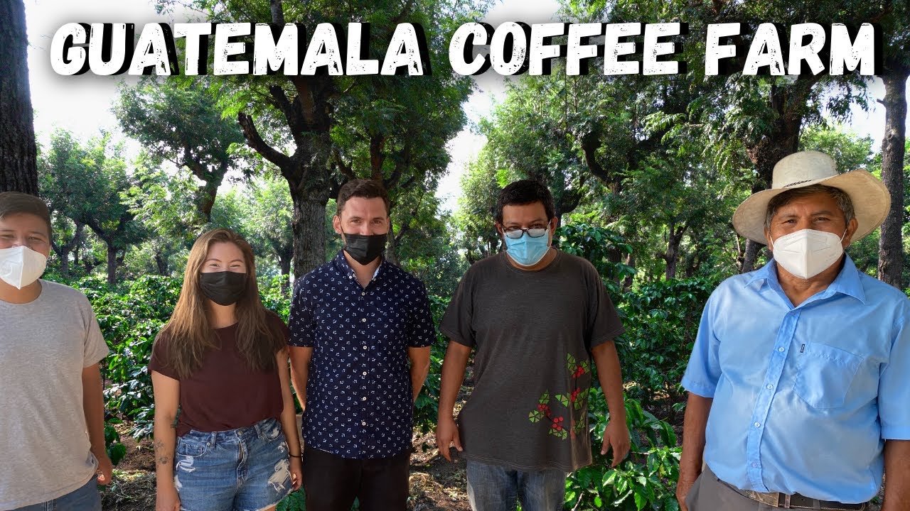 Antigua Guatemala Coffee Farm Tour | What to do in Antigua