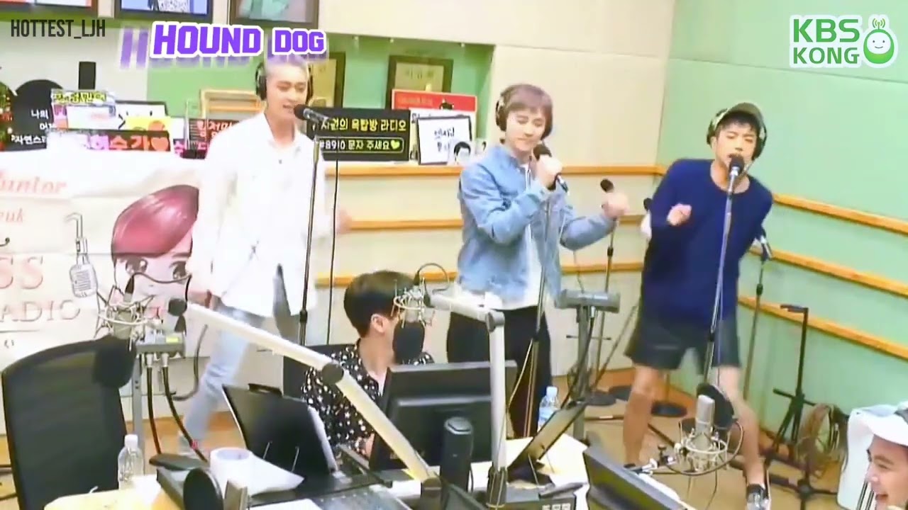 Hound Dog by 2PM Young Boys (Karaoke version)