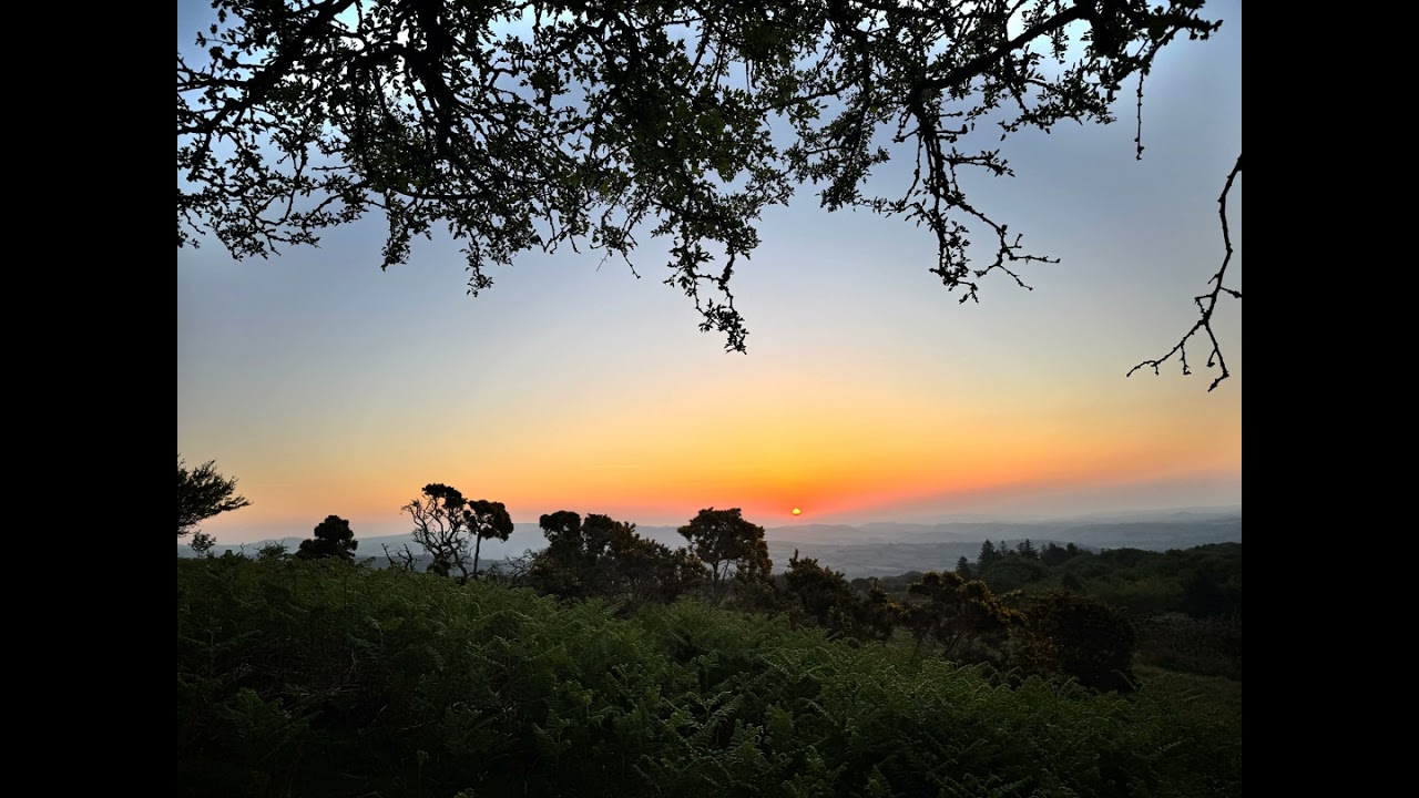 Children of the Sun // Earth Sessions: Into the Solstice