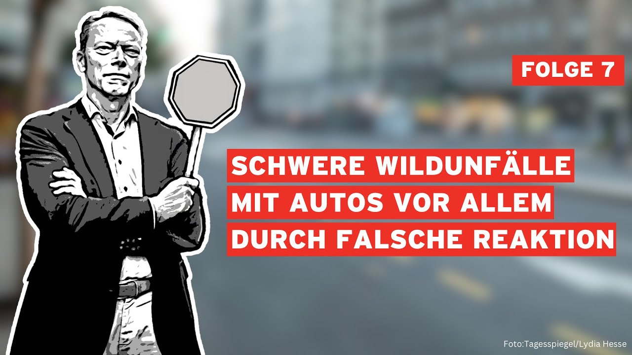 Brockmanns Verkehrsblog - Schwere Wildunfälle mit Autos vor allem durch falsche Reaktion