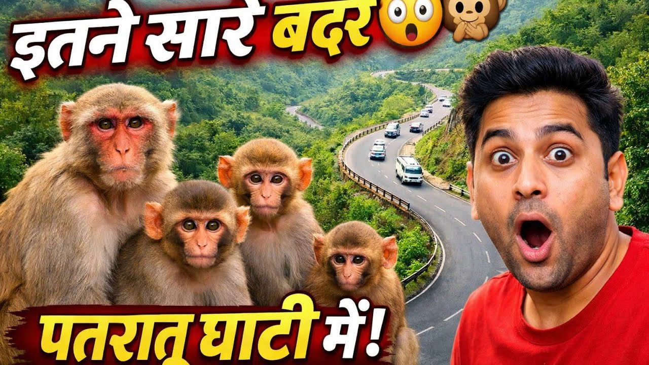  पतरातू घाटी का अद्भुत नज़ारा 😍 इतने सारे बंदर कभी नहीं देखे होंगे! | Yogendra Blog|4k 60 FPS|