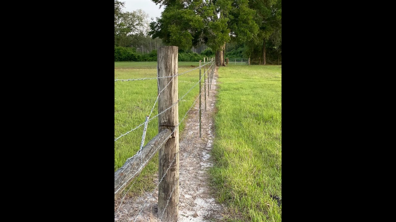 Killing and Controlling Weeds in Fence Lines for Small Farm Producers