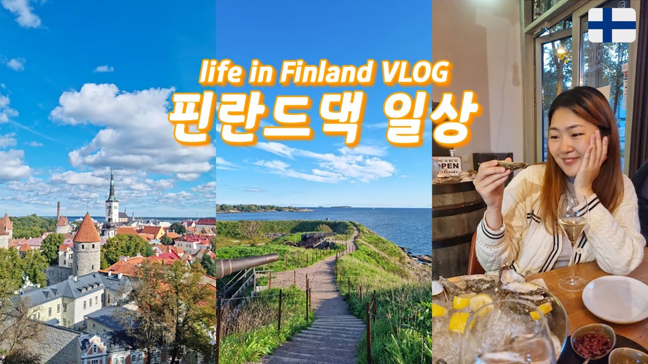 핀란드 국제커플 브이로그🇫🇮 시아버지 생신 비즈니스 서프라이즈🎁 세계 굴까기 대회 챔피언🦪 탈린 여행 | 드론 연습 | 한국치킨 먹으러 떠난 탐페레🍗