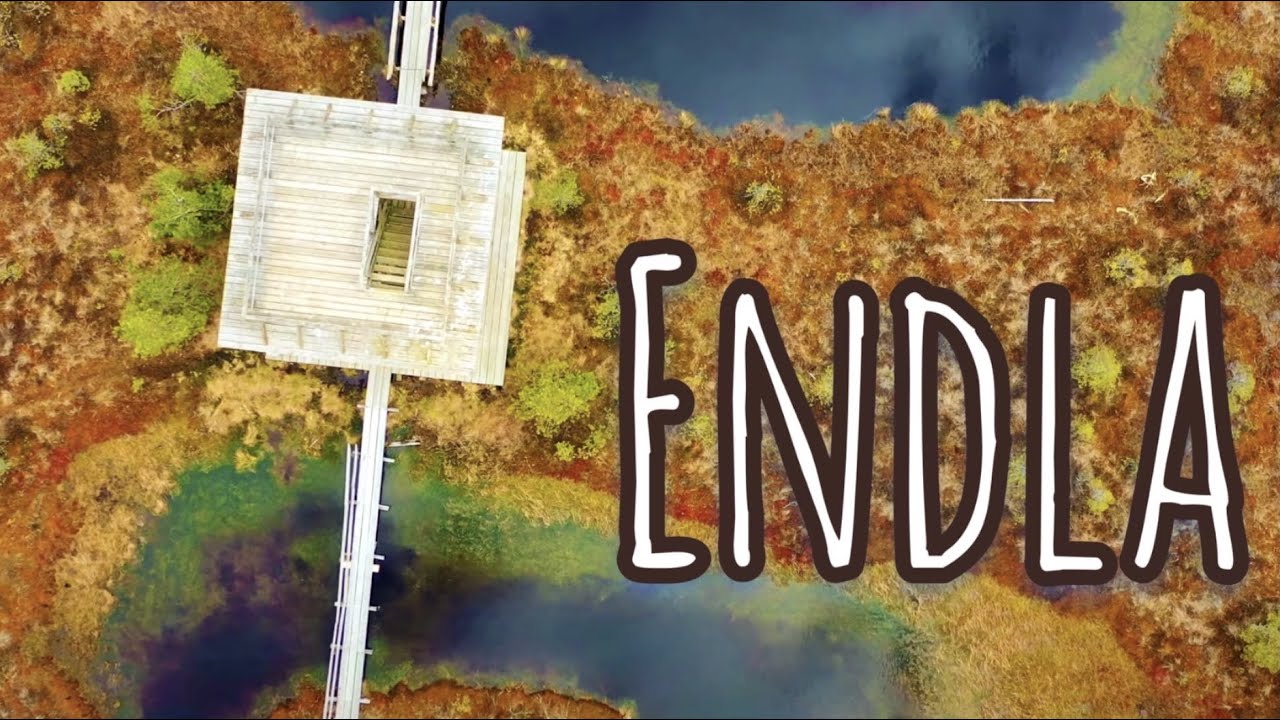 Endla matkarada/Looduskaitseala. RMK / Estonia / DJI Mavic 2 Pro/  2020 / 4K Video