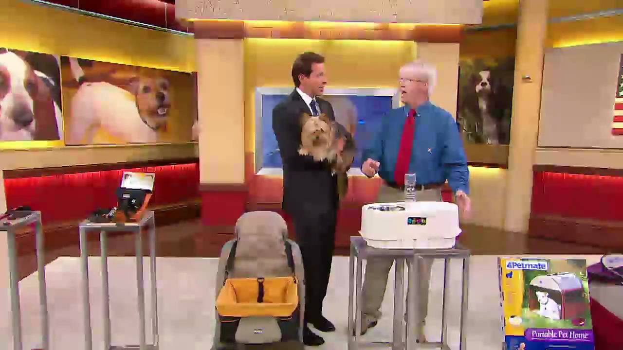 Your Dog Can Travel in Style