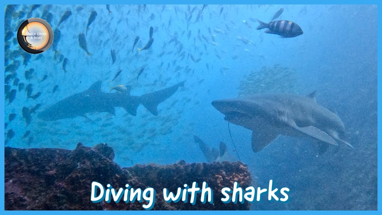 Diving at Fish Rock - South West Rocks