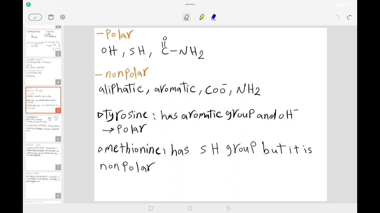 محاضرة الـ amino acid