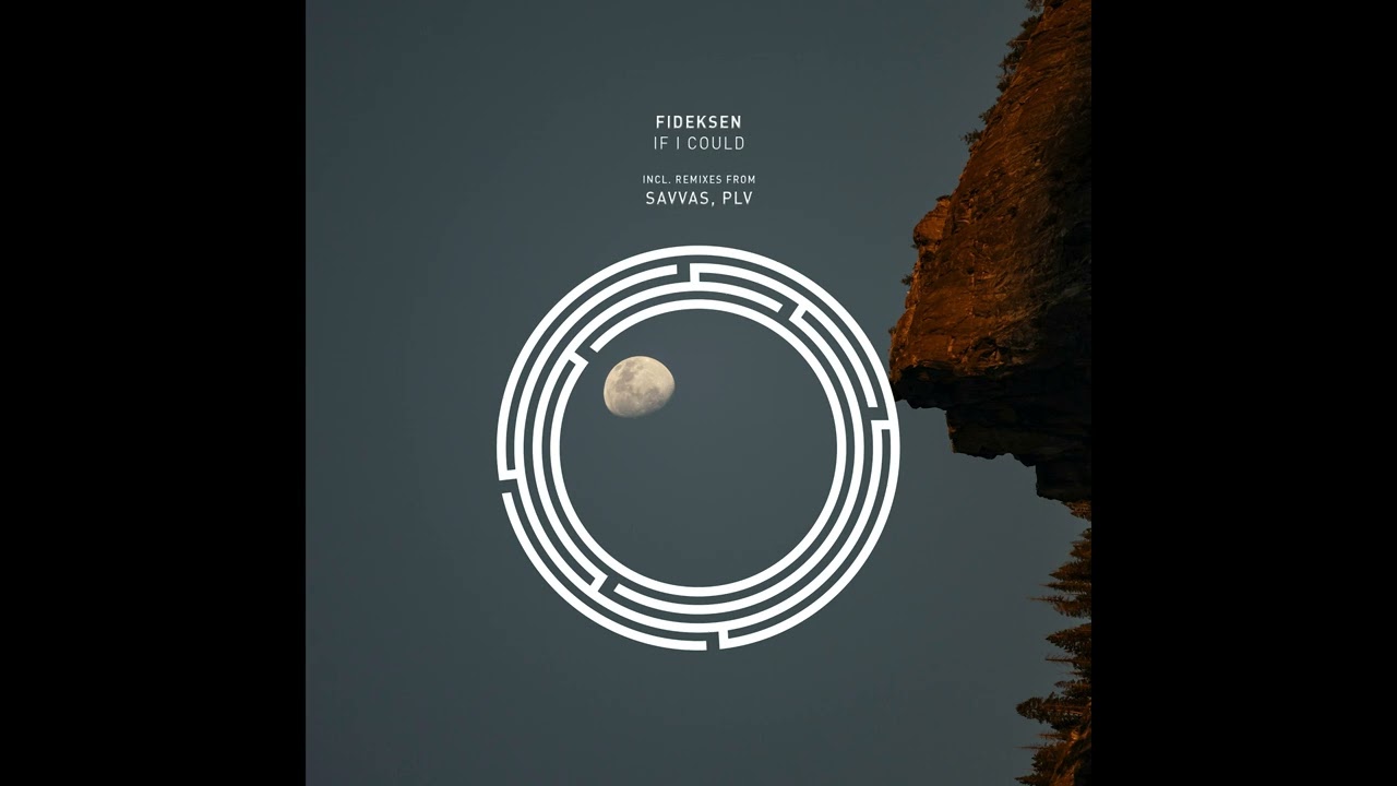 fideksen - If I Could (plv Remix)