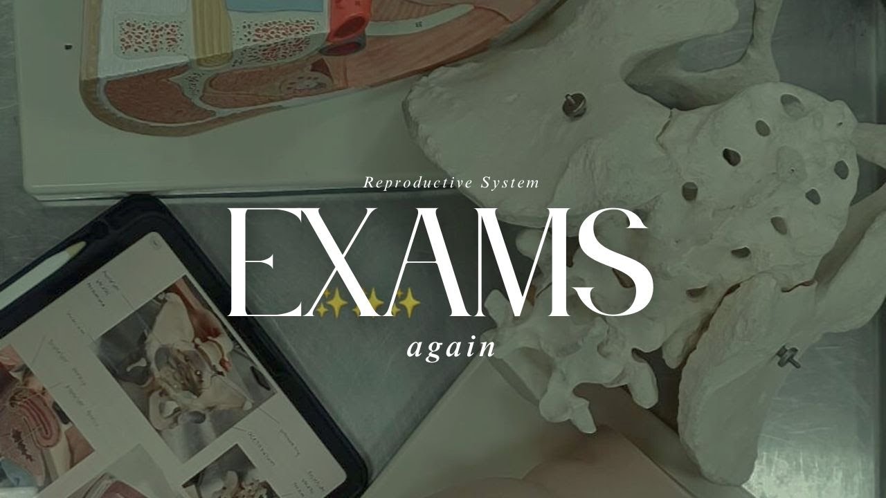 Reproductive System Finals (literally just studying, and post-studying things)