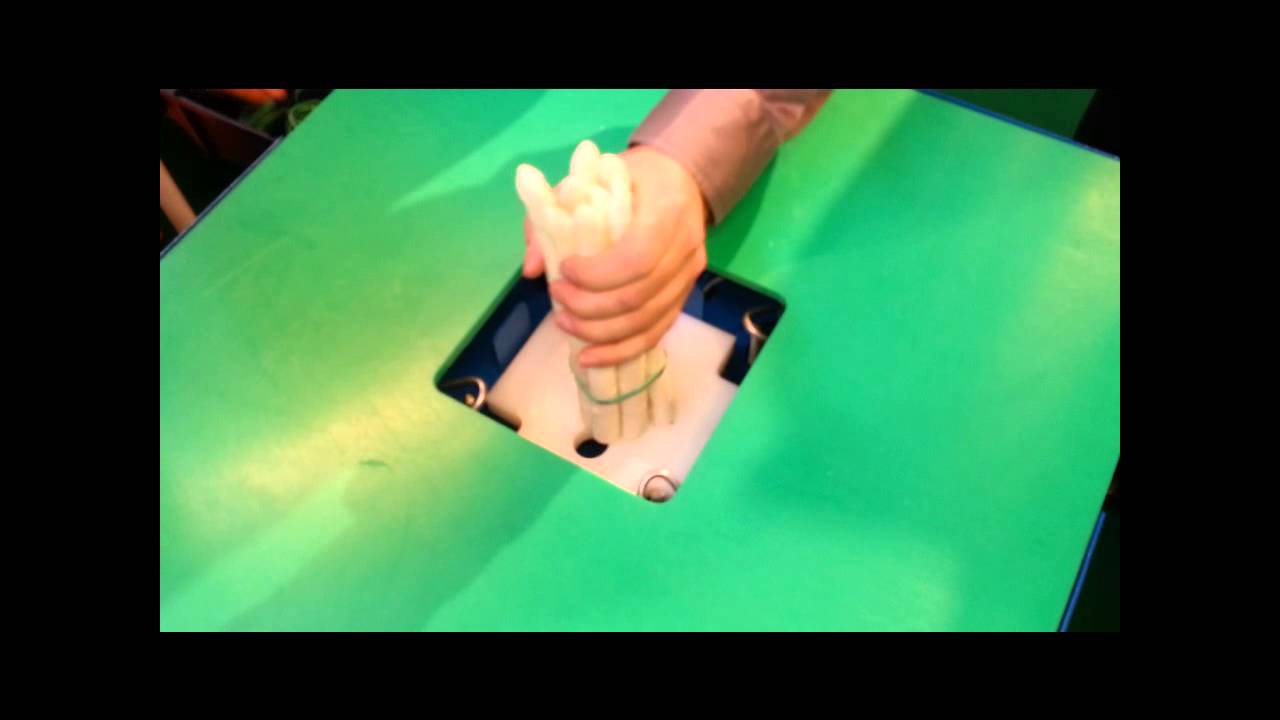Spargelb&uuml;ndelmaschine Gummib&uuml;ndler Gummib&uuml;ndelmaschine [1 Person]