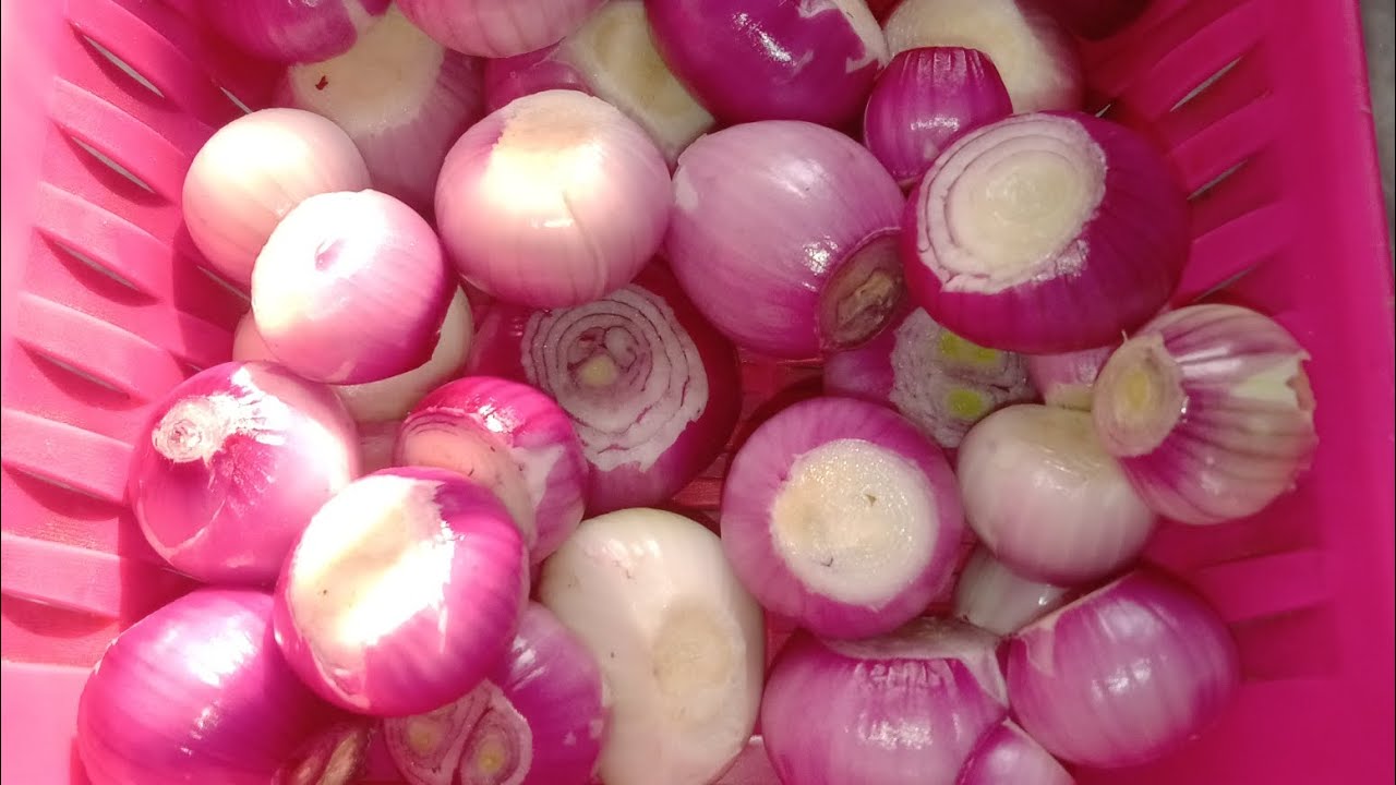 Sasta pyaz store krna ka treeka👍🙂#lhr #food #cooking #like #recipe #foodpreparation #minivlog #viwe