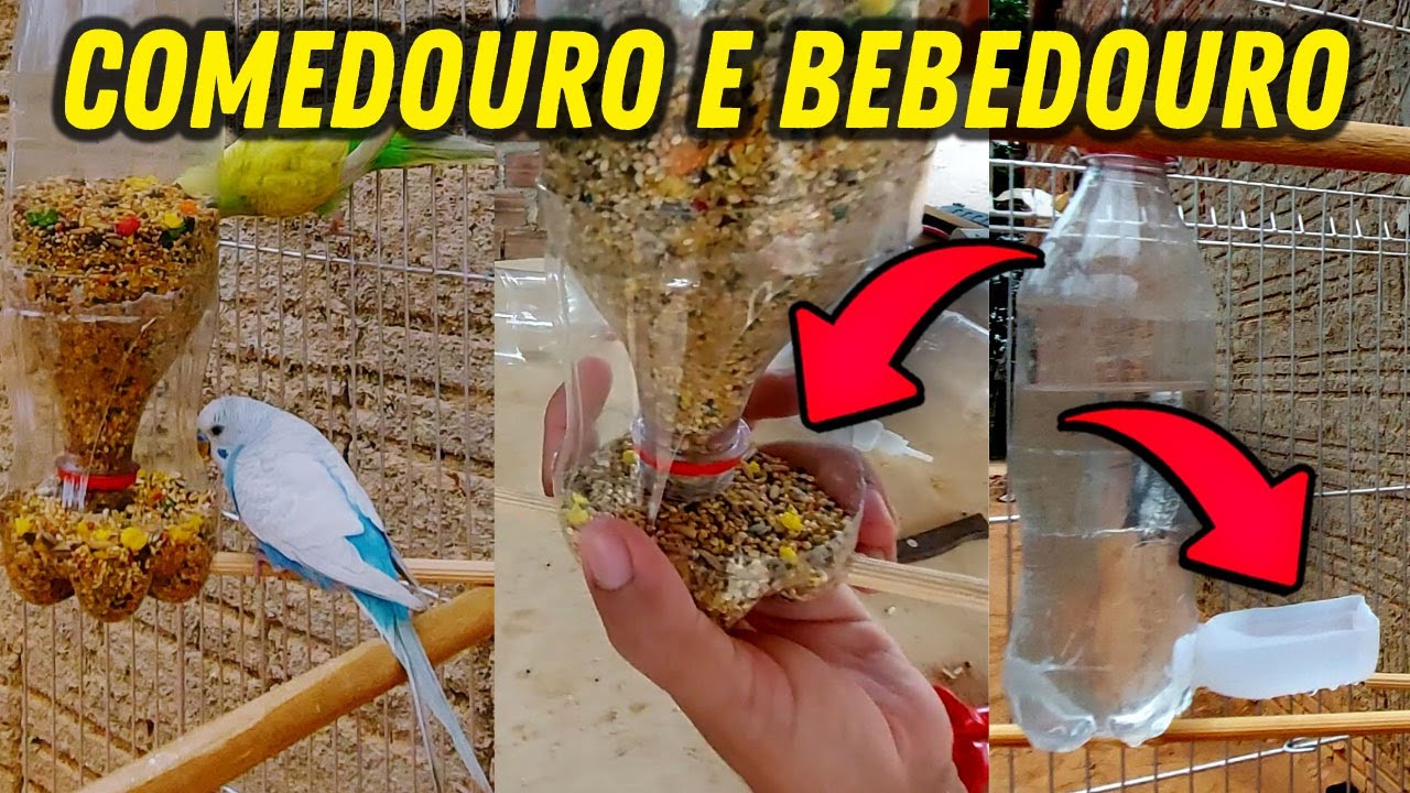 Comedouro para Passaros, Bebedouro para passaros com garrafa pet | Mundo Caipira