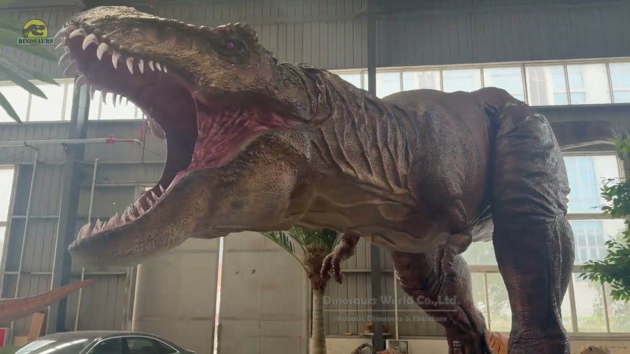 What Did A Real Adult T-Rex Look Like ?