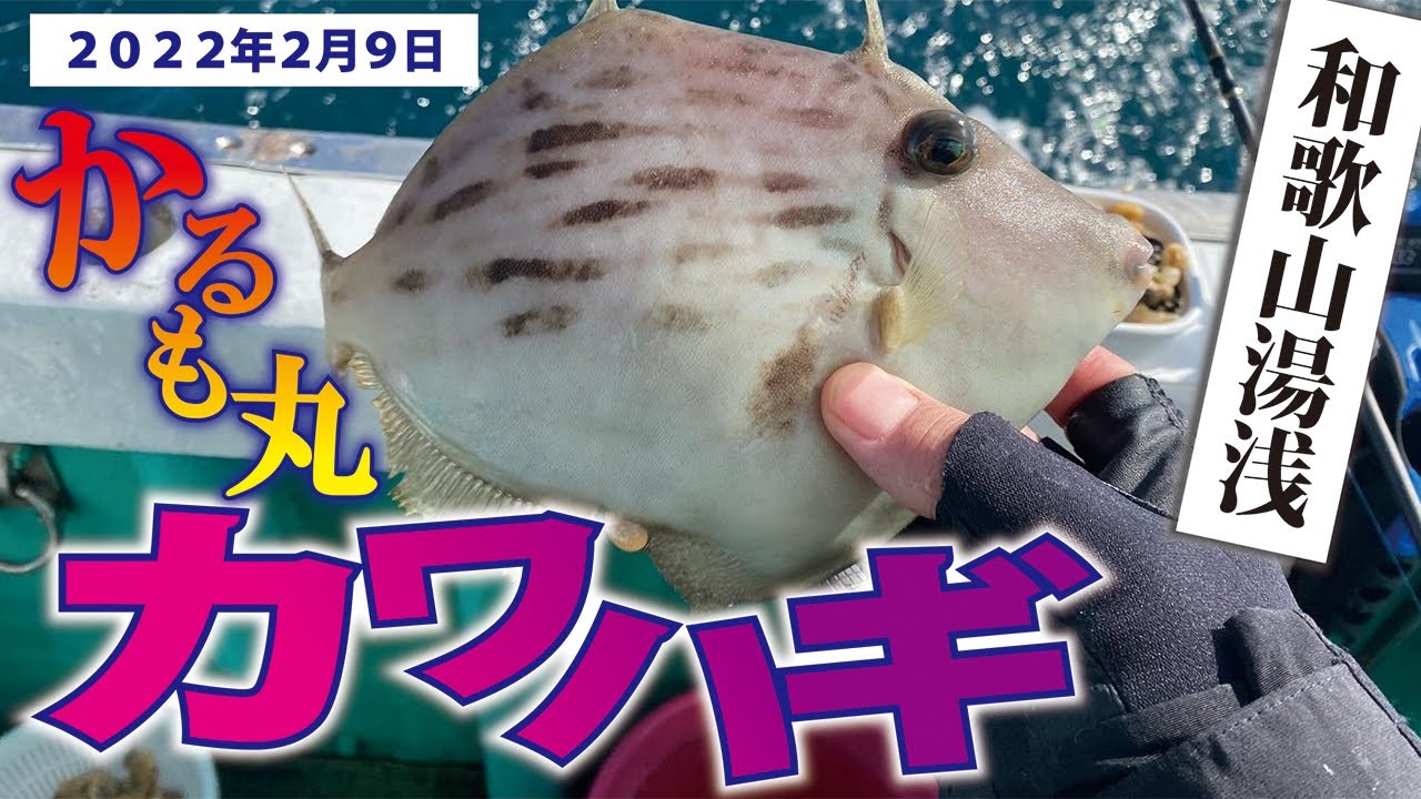 【必見】かるも丸船長の神アドバイスで爆釣します！シマノのフィールドテスターも同船しています！