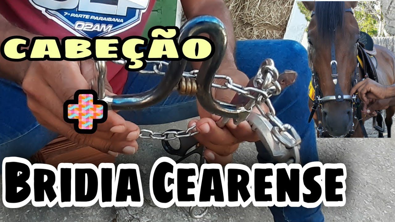 COMO MONTAR UM ARREIO PARA POUTRO