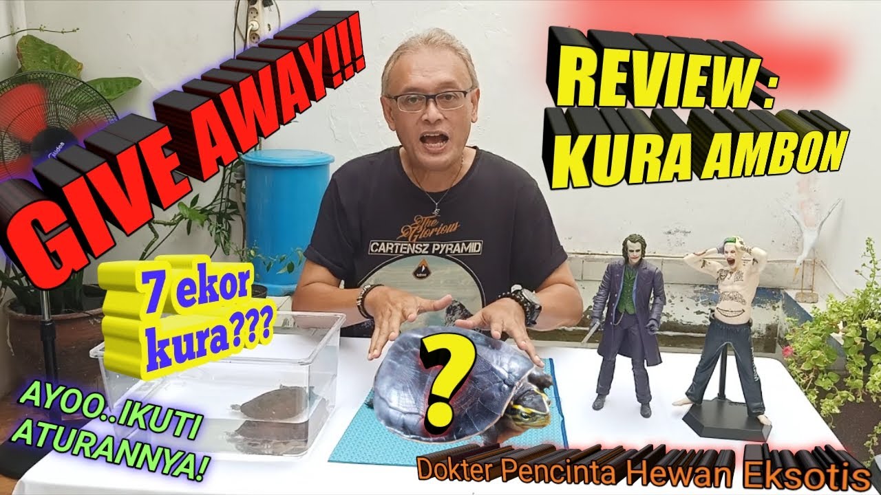 REVIEW KURA AMBON ||