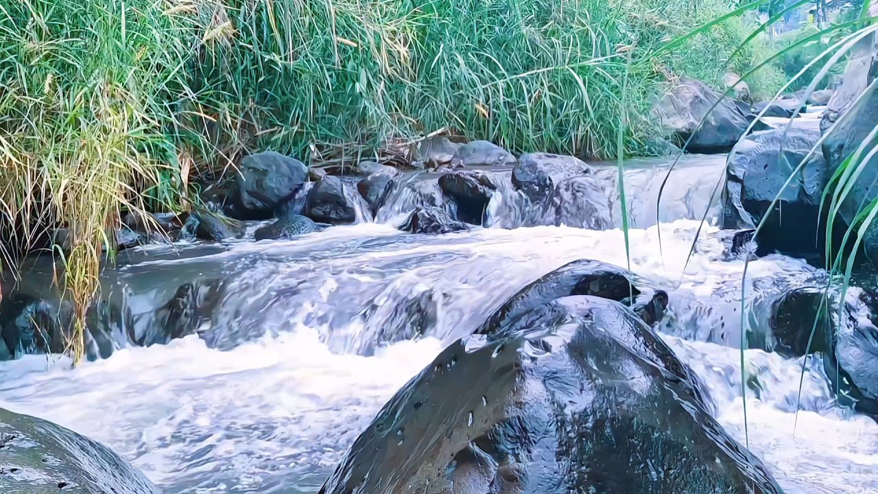 Peaceful River Sounds for Deep Sleep