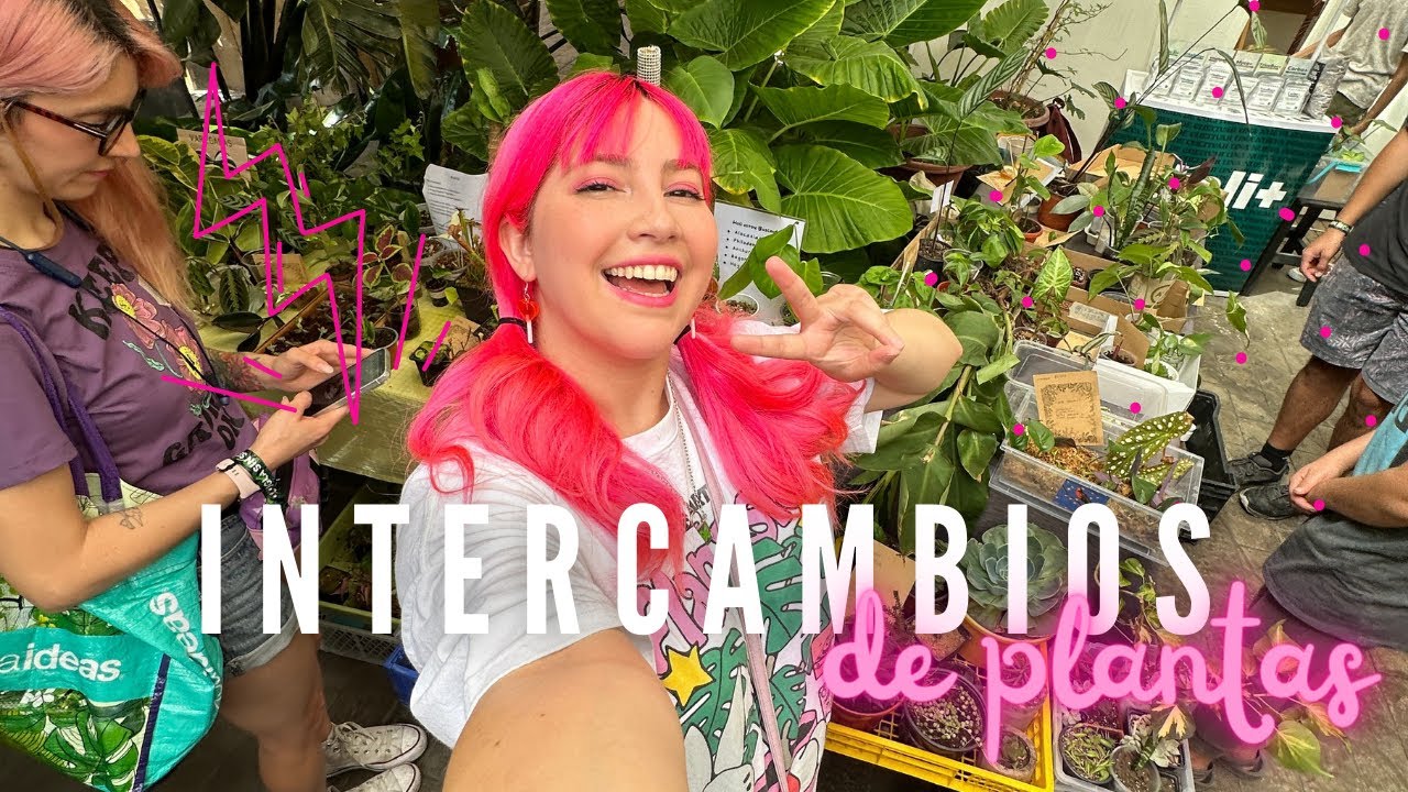 Asistí a 2 Eventos de intercambio de esquejes 🎍 8 Plantas nuevas a la colección ✨ Trasplanta conmigo
