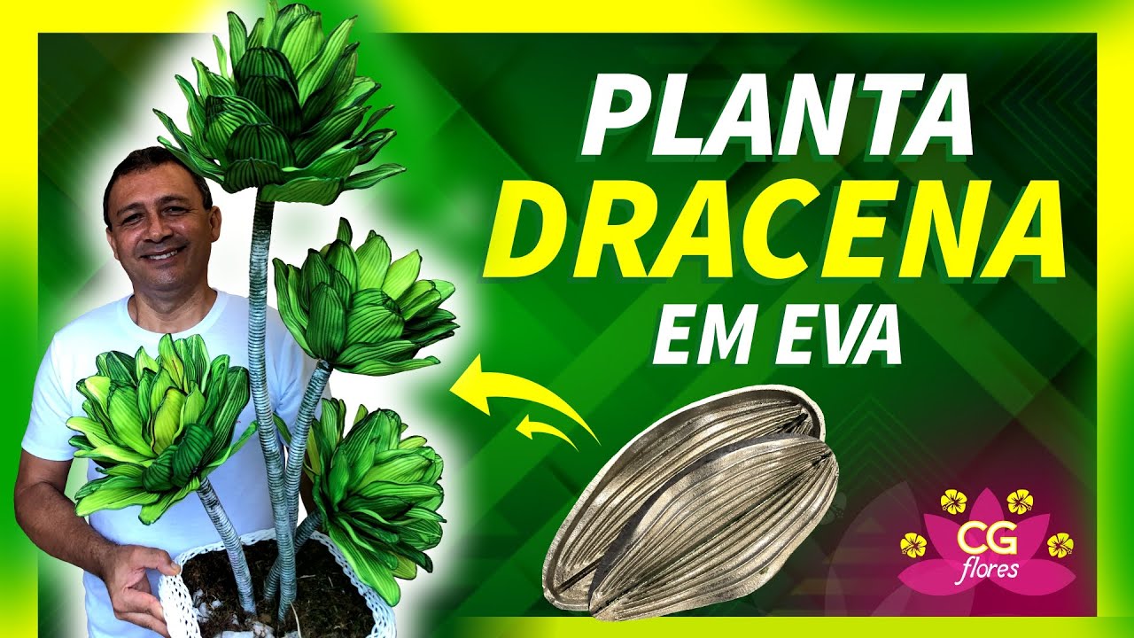 ESPÉCIE DE DRACENA EM EVA | PASSO A PASSO