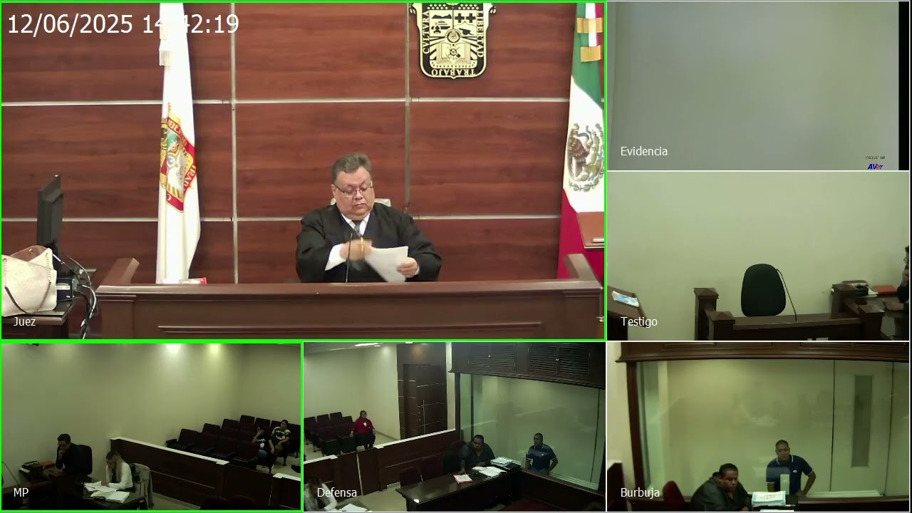 AUDIENCIA DE JUICIO. INTERROGATORIO Y CONTRAINTERROGATORIO TESTIGOS. PARTE II