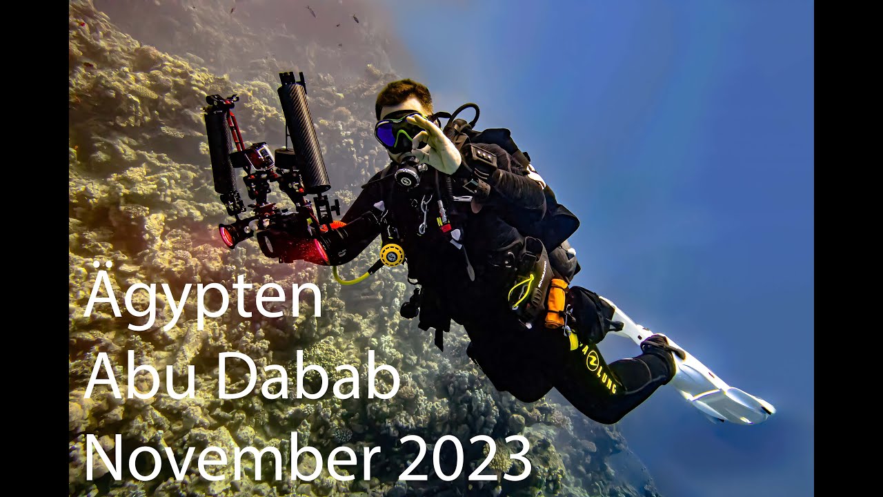 Tauchabenteuer in Ägypten: Diving.de Abu Dabbab / 4k / Relaxing