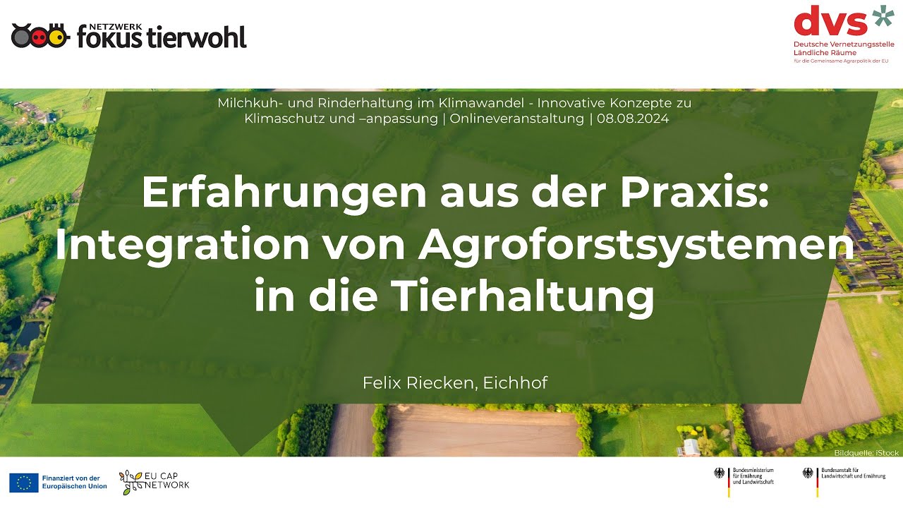 Erfahrungen aus der Praxis: Integration von Agroforstsystemen in die Tierhaltung