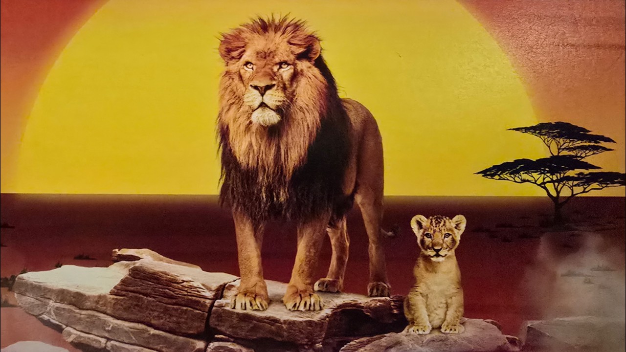 Der König der Löwen 🦁🌳 || Germany || Cuộc sống ở Đức