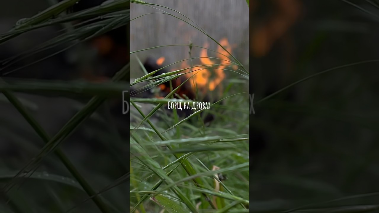 Ukrainian borshch on fire 🔥 #borsh #nature #food #foodvlog #fire #dacha #борщнадровах #борщрецепт
