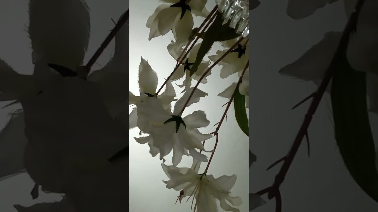Werkie ወርቅዩ  ዩቲብ  is live!ሰላም  እዴናቹ  ማሮቸ