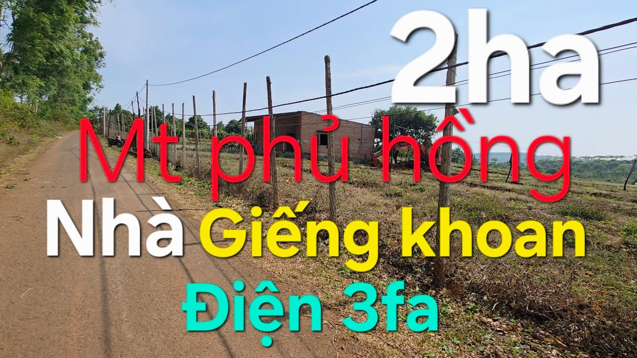 2ha Đất đỏ bazan ôm Mt Nhựa phủ hồng, khu dân cư, điện 3fa, giếng khoan, lh 08 22 72 76 79 