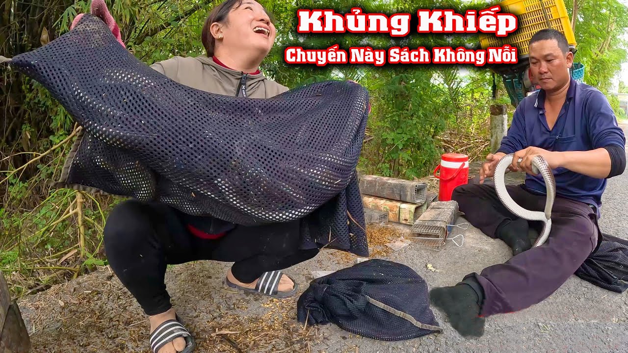 Khủng Khiếp RẮN Mà Dính Cỡ Này # CSBR # 380
