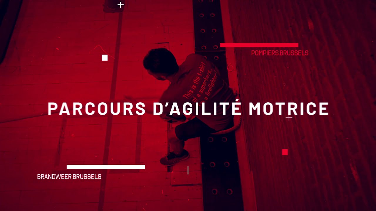 Parcours d'agilité avec Nabil