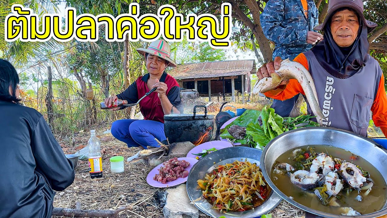ต้มปลาค่อใหญ่ใส่มดแดง ต้มบักหุ่งรสเด็ด ฝีมือแม่น้องไอซ์