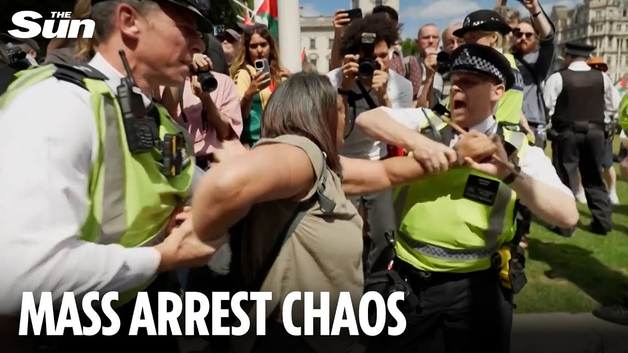 Record number arrested at Palestine Action protest as demonstrators bring chaos to London