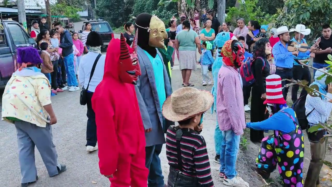 Carnaval de Tlapehuala Xicotepec 2026