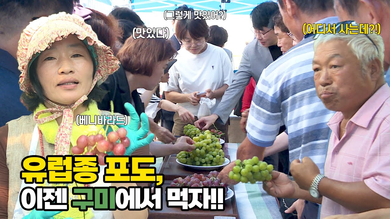 예?? 베 뭐요? 베이쿠미요? 아~~ 베니바라드!!!