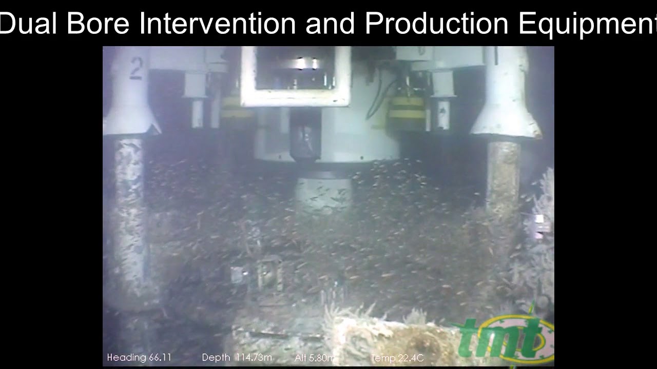Dual Bore Intervention and Production Equipment