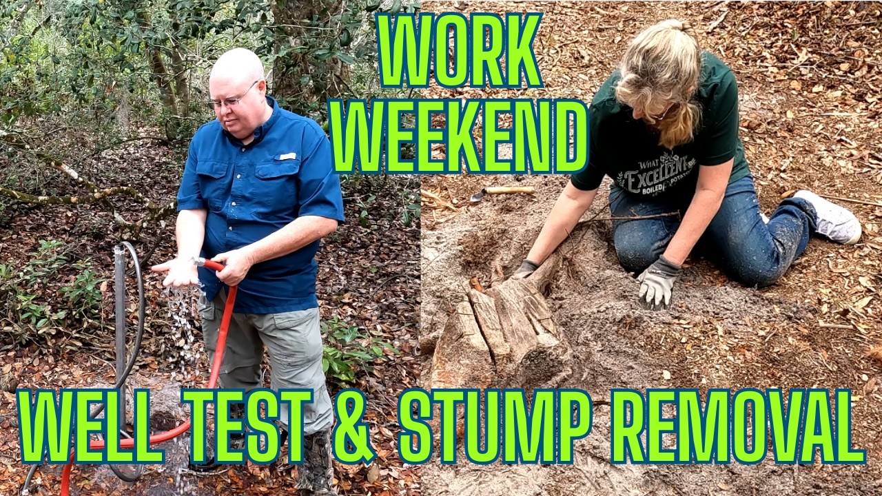 Off-Grid Land Progress | Well Test + Stump Removal