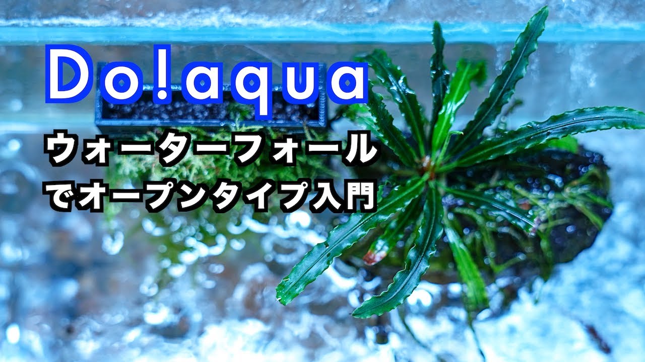 オープンタイプ・アクアテラリウム入門 Do!aqua ウォーターフォールのセットアップ【アクアテラリウム研究⑥】【パルダリウム】