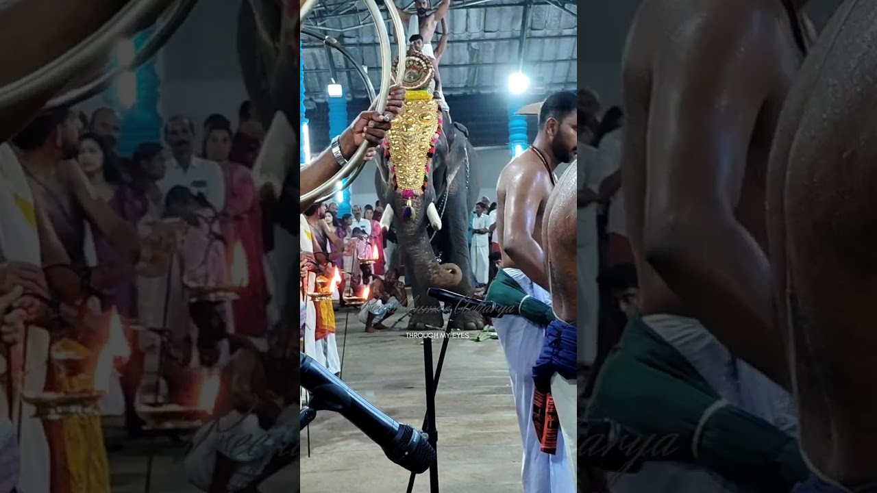 ചിറക്കൽ കടലായി ശ്രീകൃഷ്ണ ക്ഷേത്ര മഹോത്സവം 
