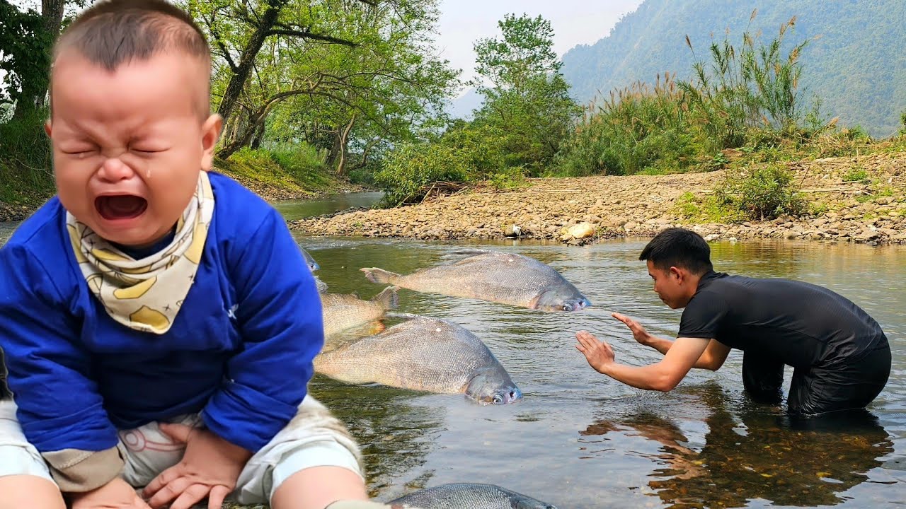 Harvest galangal roots and sell them at the market - Catch giant fish in the stream