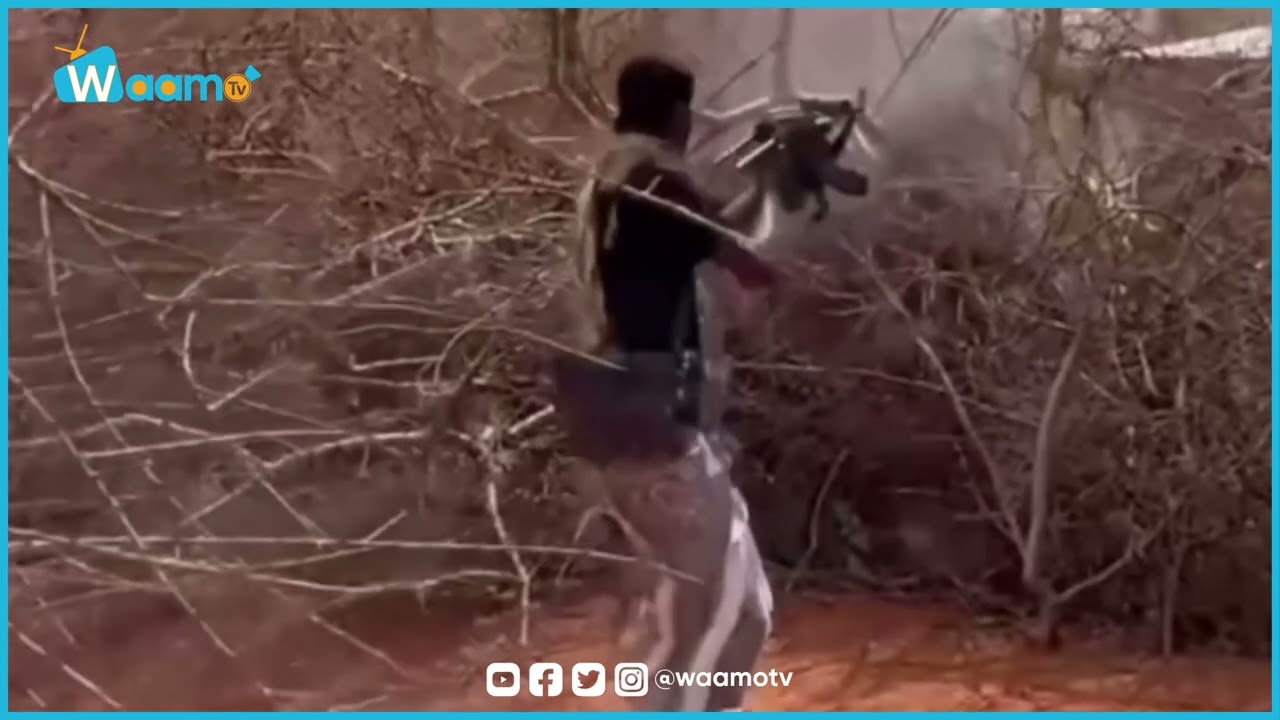 Macawisley ku cibadeystay Kooxdii Naflacaariga ahayd.