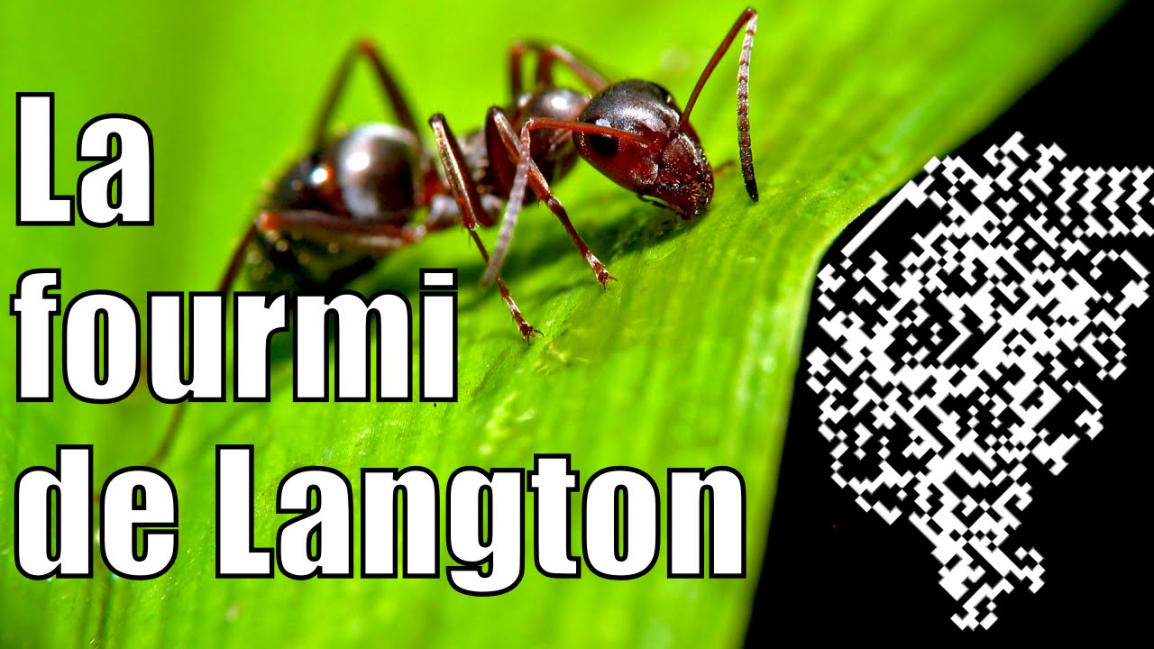La fourmi de Langton