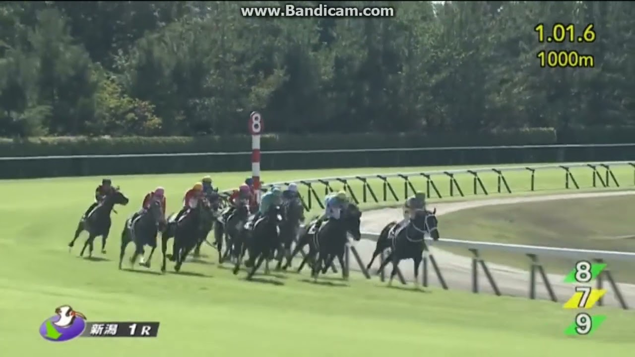 ジーネキング　2歳未勝利