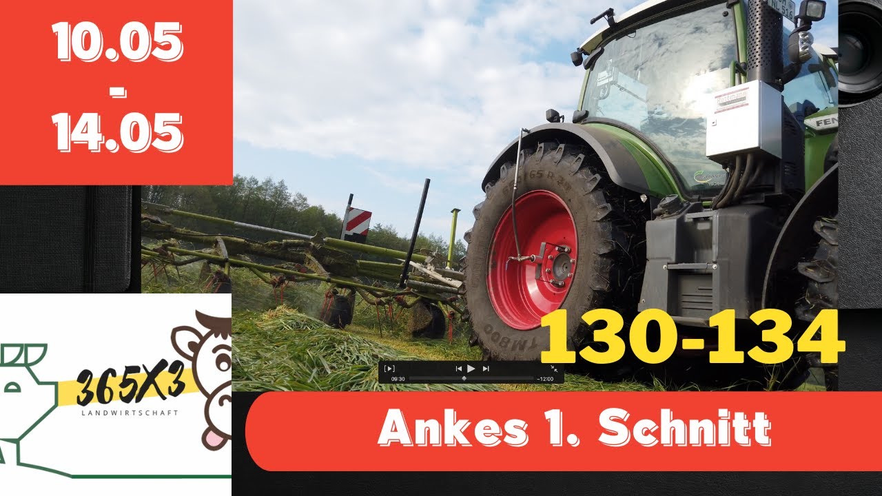 365 x 3 Ankes . Schnitt Gras 10-14.05