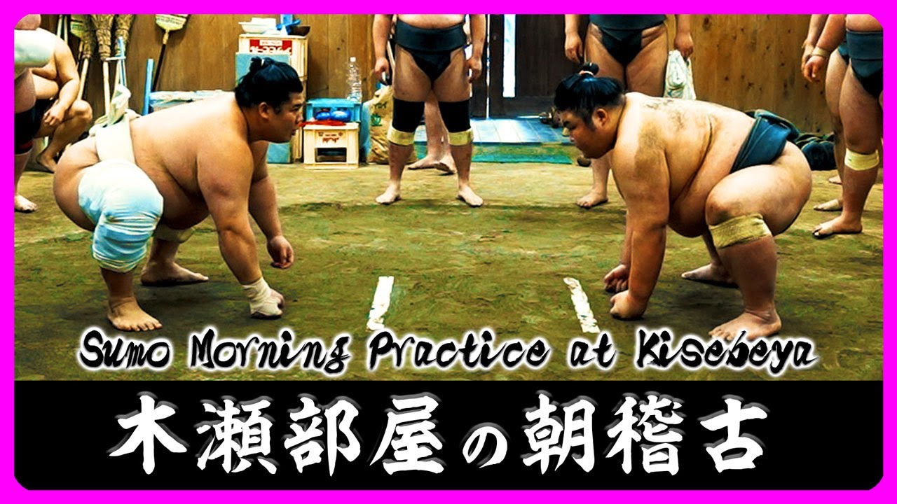 【朝稽古】木瀬部屋の朝稽古【相撲/Sumo】Sumo Morning Practice at Kisebeya