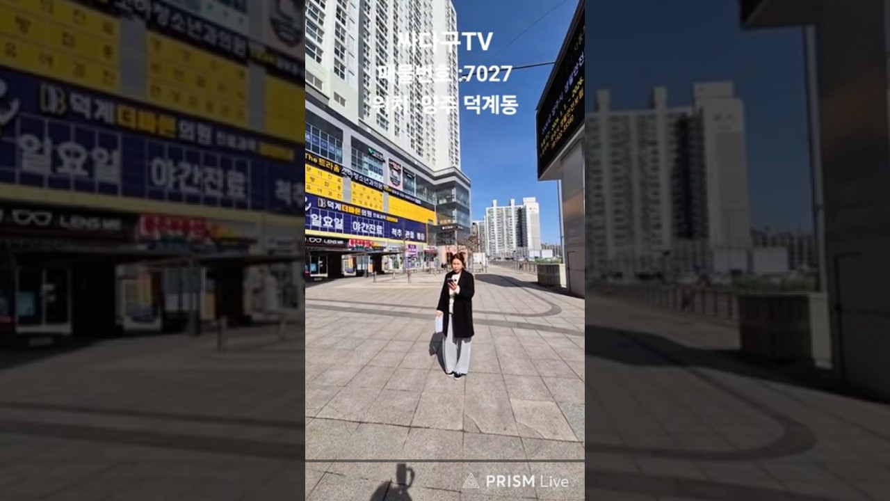 싸다구TV 빌라의 모든정보! 라이브 방송