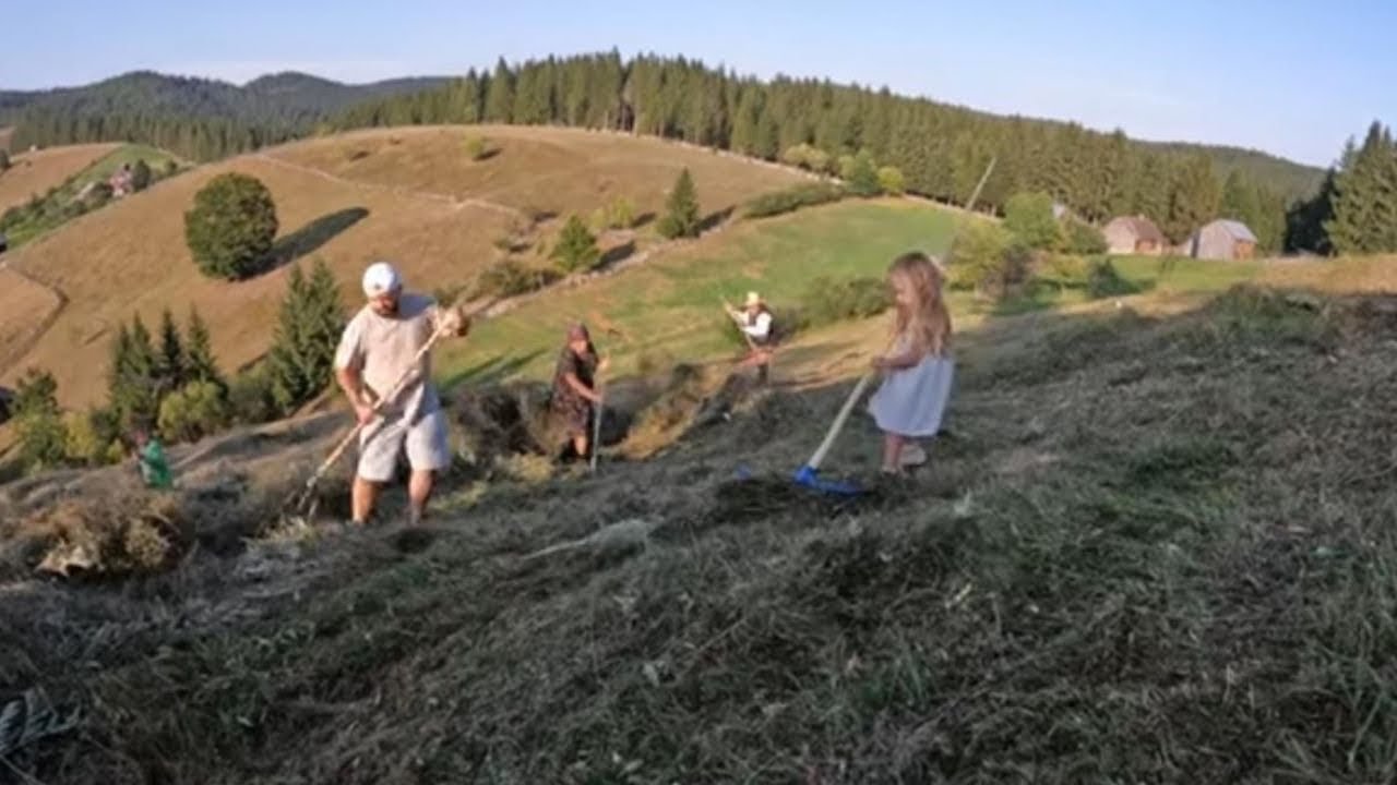 Cum se strânge fânul în Bucovina? Copiii descoperă farmecul vieții la țară