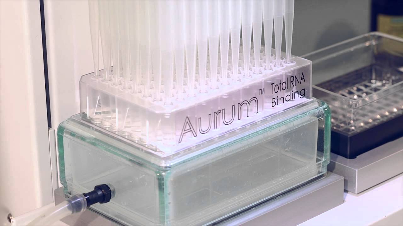 Solid phase extraction using a vacuum manifold on VIAFLO 384
