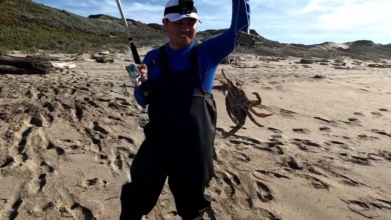 Fish and cook by the beach